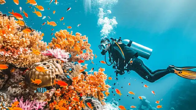 泰國芭達雅體驗潛水浮潛/水肺OW考證/AOW考證/O＋A考證1天【無證/執證深潛可選 中英教練 芭達雅飯店接送】