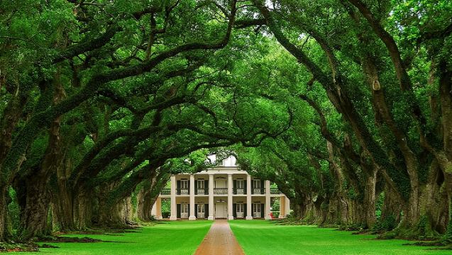 Oak Alley Plantation and Swamp Boat Tour from New Orleans