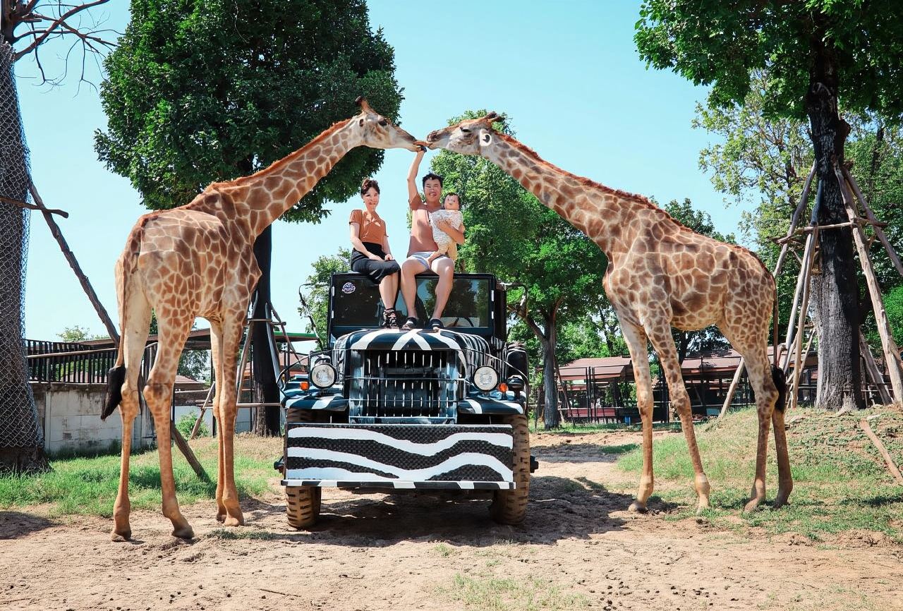 Safari World Bangkok Day Tour [Tickets Included | Buffet | Optional Meeting Point Pickup]