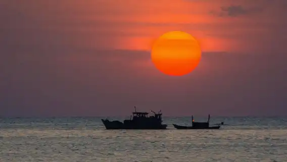 越南富國島夜釣墨魚【跟團行程|包含接駁和簡餐|提供工具