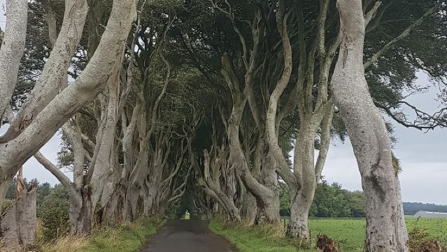 Privatgruppe für die Küste von Antrim, die Straße der Riesen und Drehorte von Game of Thrones