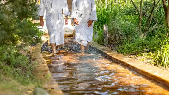 Mornington Peninsula Small Group Hot Springs, Lunch & Winery Tour