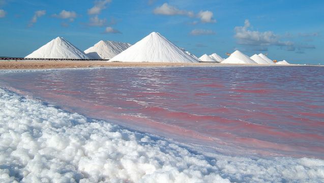 Lawatan Berpandu Kumpulan Kecil ke Utara & Selatan Bonaire dengan Ambil