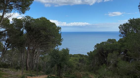 Da Barcellona: tour escursionistico Costa Brava e Camino de Ronda