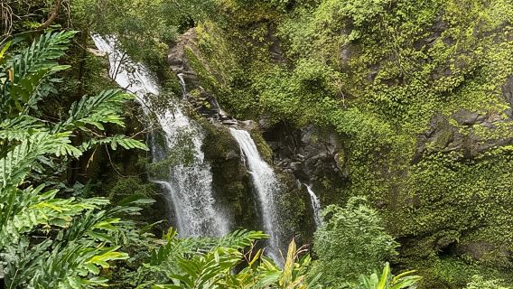 Maui: Excursión de un día en furgoneta a Hana con guía local y almuerzo