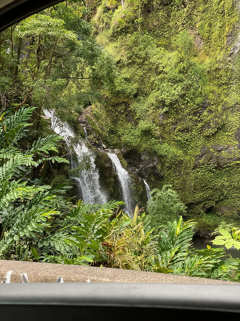 Maui: gita di un giorno in furgone a Hana con guida locale e pranzo