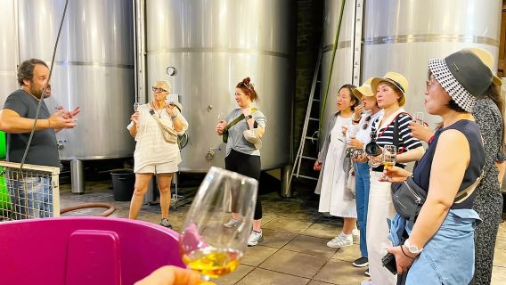 Porto: Douro-Tal-Weintour mit Verkostungen, Boot und Mittagessen