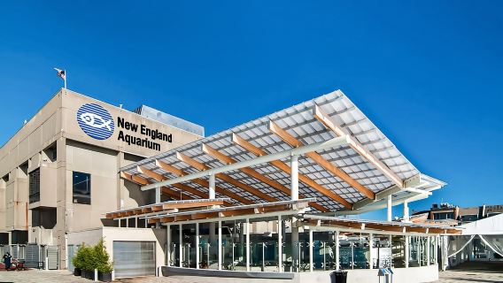 Boston: Entrada al Acuario de Nueva Inglaterra + Teatro Simons opcional