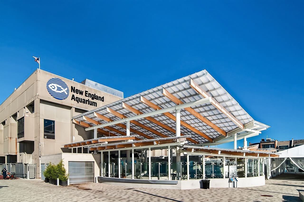 Boston: ingresso al New England Aquarium + Simons Theatre facoltativo