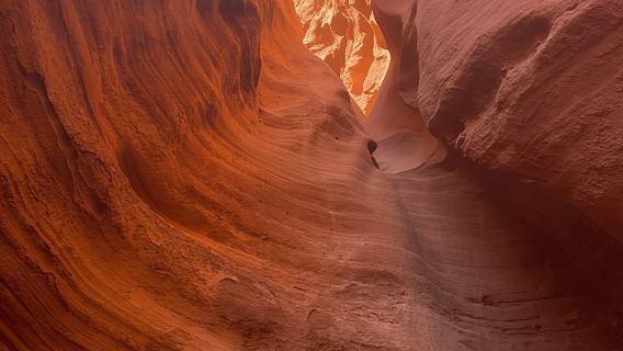 앤텔로프 캐년: 램스 헤드 캐년 투어