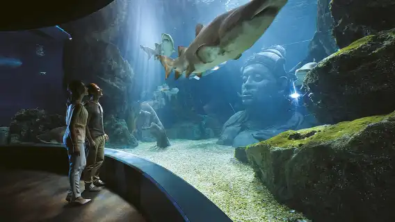 曼谷:曼谷 SEA LIFE 水族館和杜莎夫人蠟像館門票