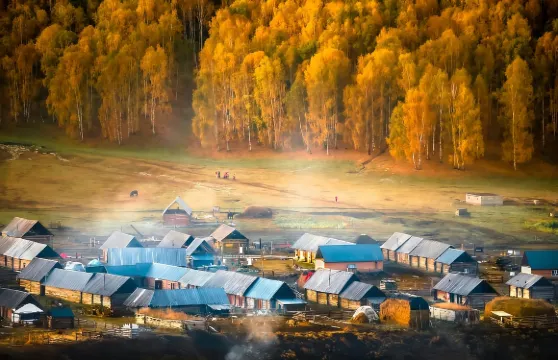 【新疆北疆/南疆】中文英語粵語法語俄語多語種導遊｜專業地陪+商務展會翻譯｜機場接送+行程定制｜City Walk