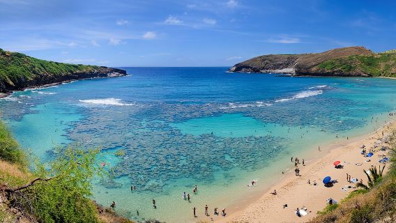 Sights & Bites Ultimate Oahu Grand Circle Island Tour