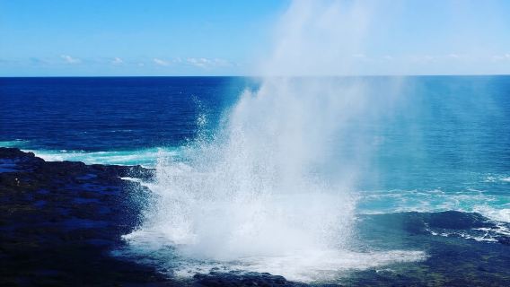 От Оаху до Кауаи: вертолетная экскурсия по побережью Напали и каньон Ваймеа