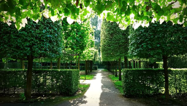 Rumah Anne + Taman Amstel + Stadium Amsterdam + Terusan Amsterdam