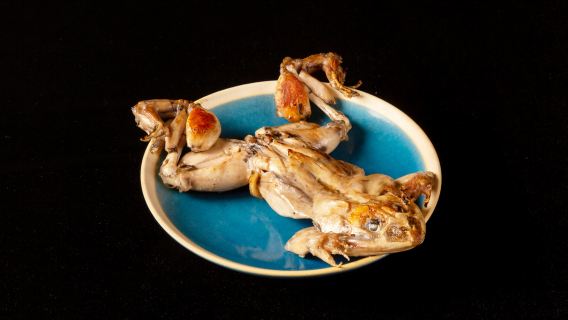 [Kome to Circus - Loja Shibuya PARCO] Combo com ingredientes raros - Escolha entre duas opções de voucher