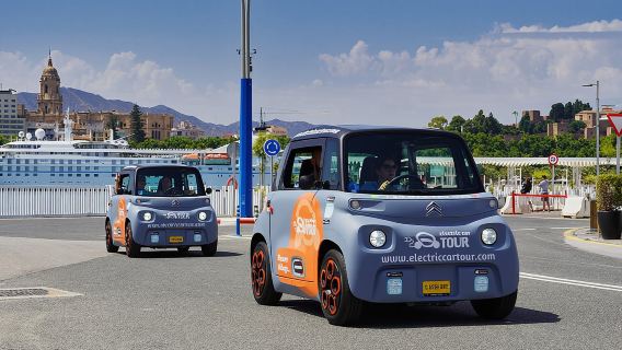 Malaga Highlights by Electric Car with Port Pick up