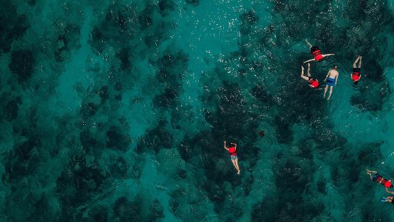 Boat and Snorkeling in West End (Blue Channel, The Aquarium, Turtle Crossing)