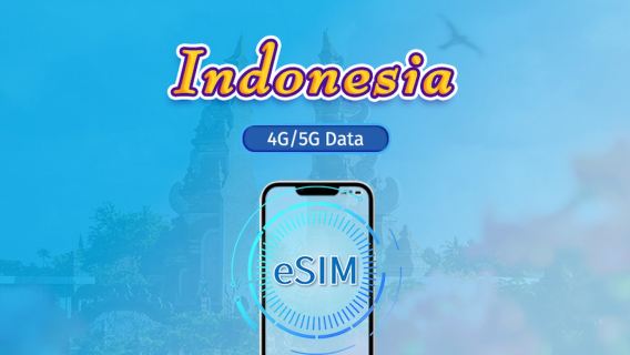 인도네시아 | 5G/4G eSIM | 일일권 / 총 패키지 | 24시간 단위 과금 | 1~30일 | QR 코드