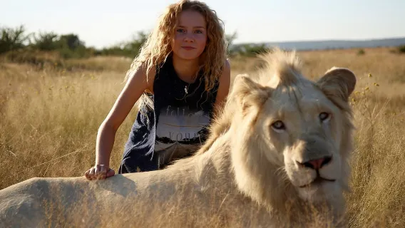 Zimbabwe Victoria Falls: Explore the big cat conservation base and walk with lions on a half-day tour miracle