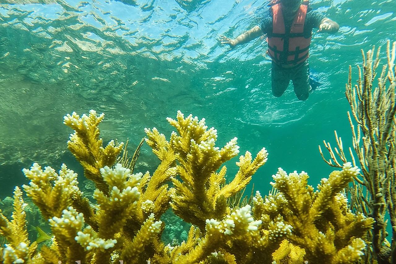 Excursion de pêche et de plongée en apnée locale à Isla Mujeres