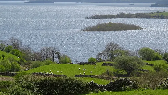 Tour riêng trong ngày ở Connemara