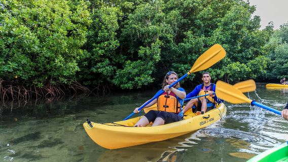 Nachtkajakken in Bio Bay met vervoer vanuit de regio San Juan
