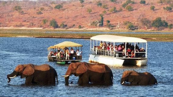 Chobe Safari Day Trip From Livingstone