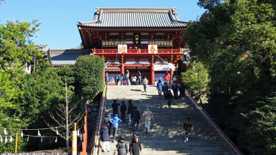 Excursión de un día al Santuario Tsurugaoka Hachimangu, Komachi-dori en Kamakura, Templo Hasedera, Templo Kotoku-in y Enoshima