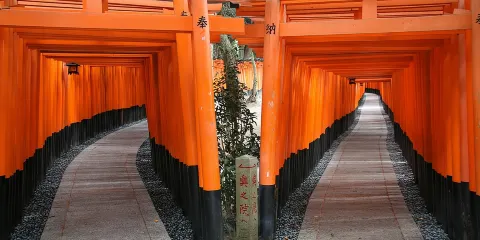 京都完美1日巴士遊
