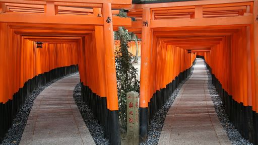 京都完美1日巴士遊