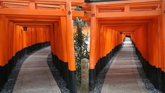 Excursion d'une journée en bus à Kyoto, PARFAITE