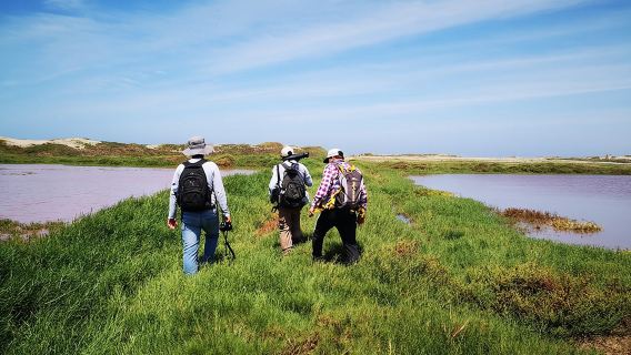 Nature tour, Pómac Forest with picnic breakfast included.