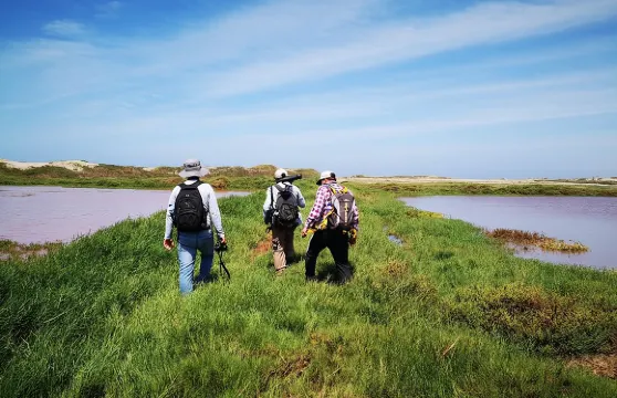 自然之旅，波馬克森林（Pómac Forest）包含野餐早餐。