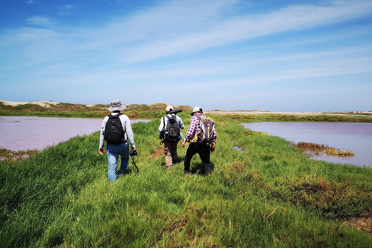 Escursione naturalistica nella foresta di Pómac con colazione al sacco inclusa.