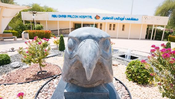 Excursión de medio día al Hospital de Halcones de Abu Dabi