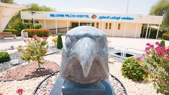 Visita de medio día al Hospital Falcon de Abu Dabi [Visita autoguiada]