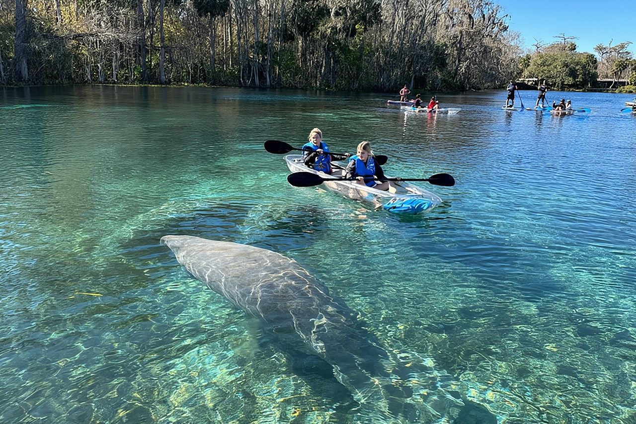 Silver Springs Self Guided Clear Kayak Rentals