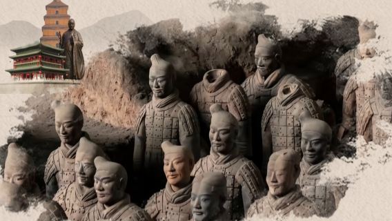 Tượng binh mã thuyết minh riêng tư