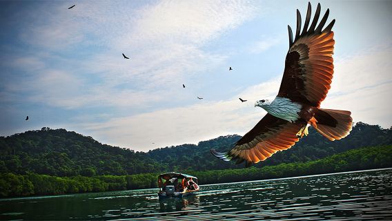 Tour classico delle isole di Langkawi + motoscafo condiviso + guida turistica in inglese