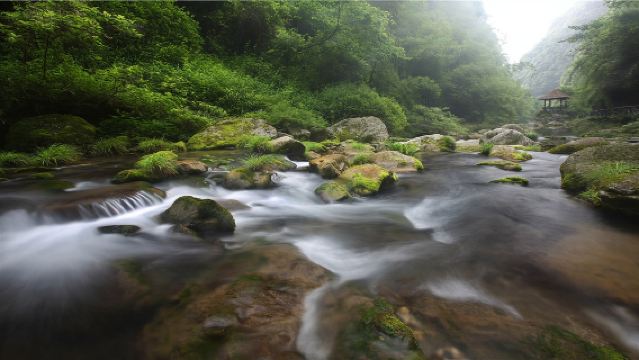 宜昌交運兩壩一峽/三峽人家/清江畫廊【一日遊包車服務