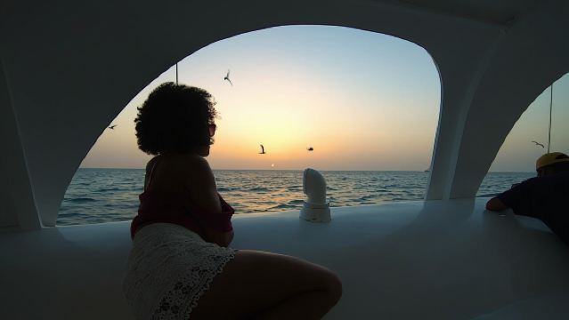 Aruba Sunset Sail Cruise Aboard The Dolphin Catamaran