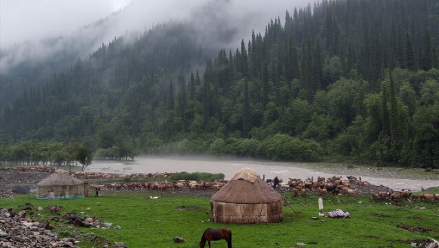 南山牧場西白溝+烏拉斯台+菊花台一日遊丨小團.可選獨立出行