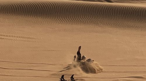 Dubai: Unique MORNING Quad Bike Red Dunes Safari Day Tours 7
