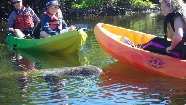 ガイド付きカヤックエコツアー - バンチビーチ