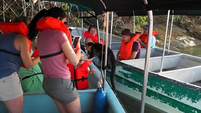 Guided Jungle Adventure with Gatun Lake Cruise
