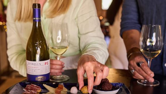 Da Barcellona: tour dei vigneti di Penedés in fuoristrada con vino e cava