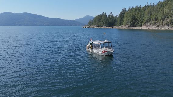 Recorrido panorámico en barco por la Reserva de la Biosfera de la UNESCO de Vancouver
