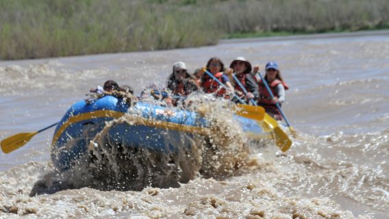 Moab: Wildwasser-Rafting auf dem Colorado River