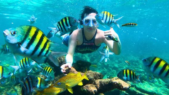 Cartagena: 6 tappe all'Oceanario delle Isole del Rosario, pranzo e snorkeling